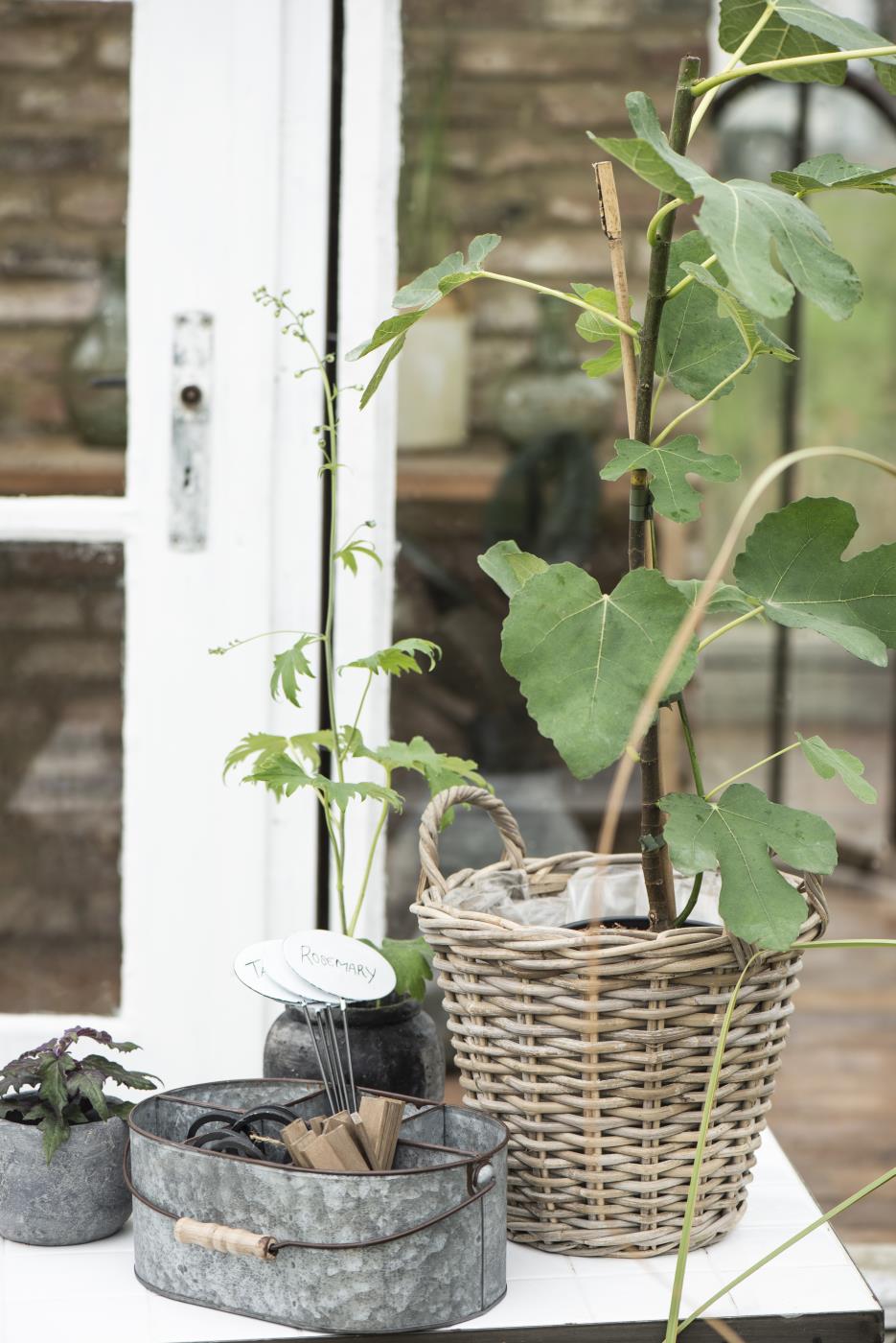 Korb Rattan mit Plastik innen gross
