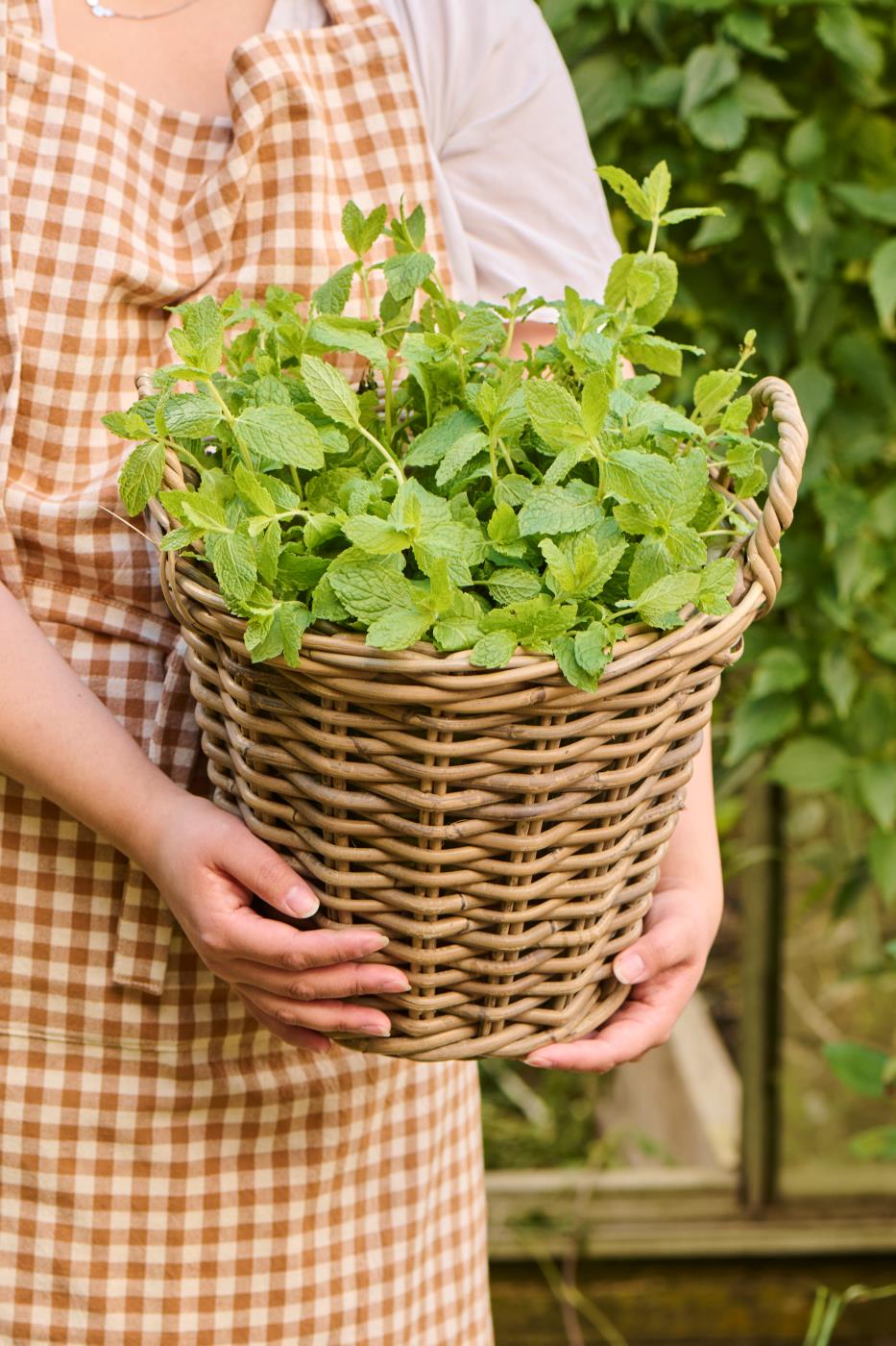 Korb Rattan mit Plastik innen klein
