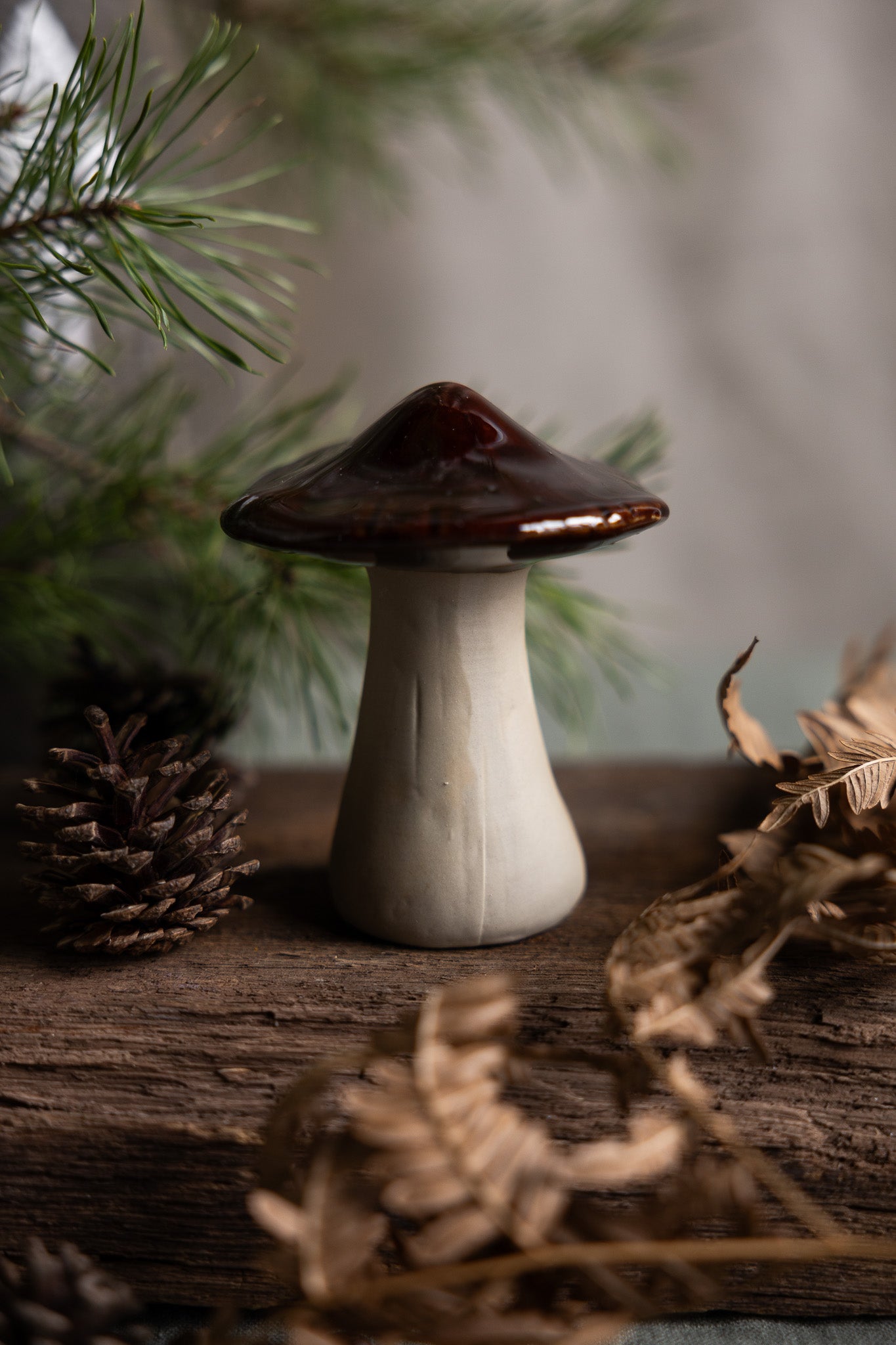 Keramikpilze braun