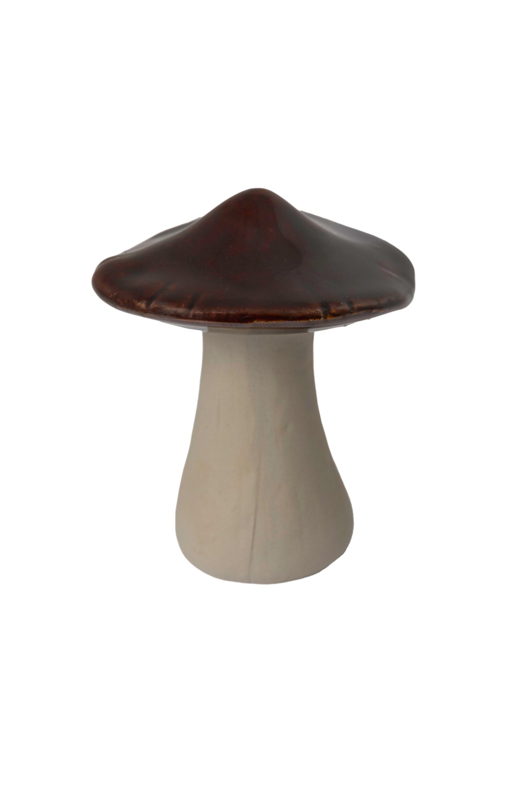 Keramikpilze braun