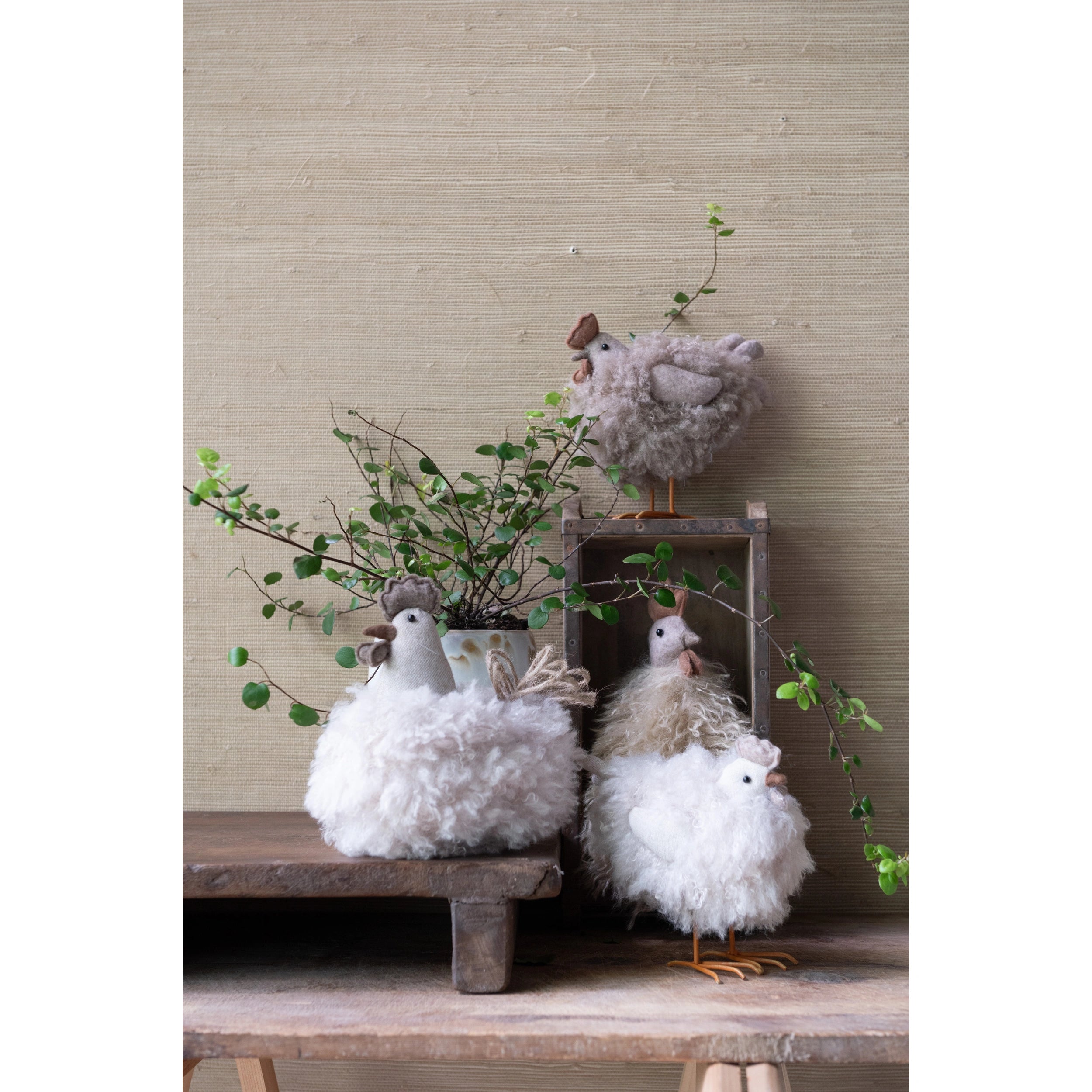 Henne in braun und weiss