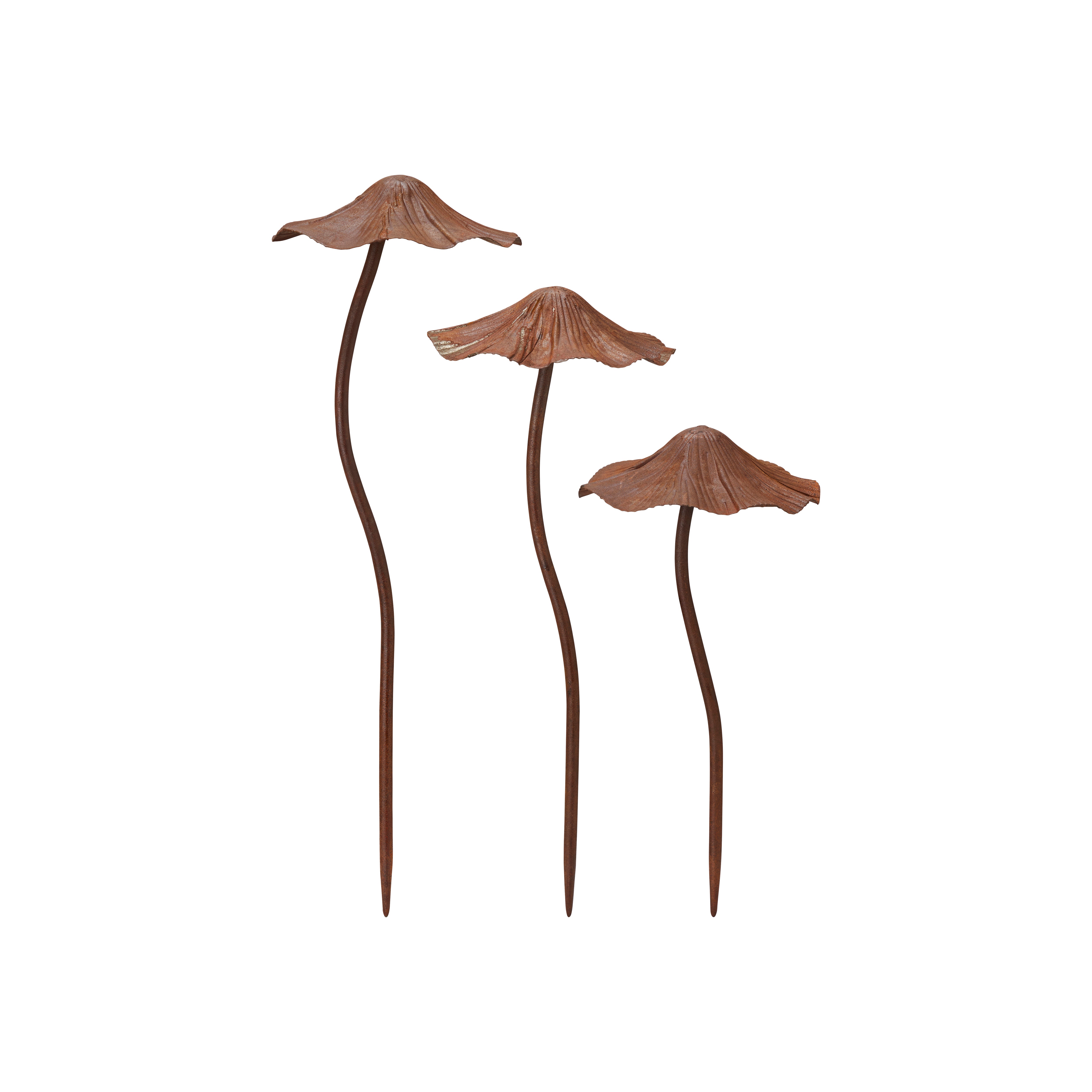 Pilze in 3 verschiedenen Grössen