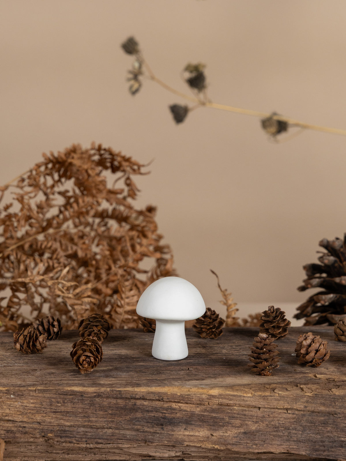 Pilz Bovik