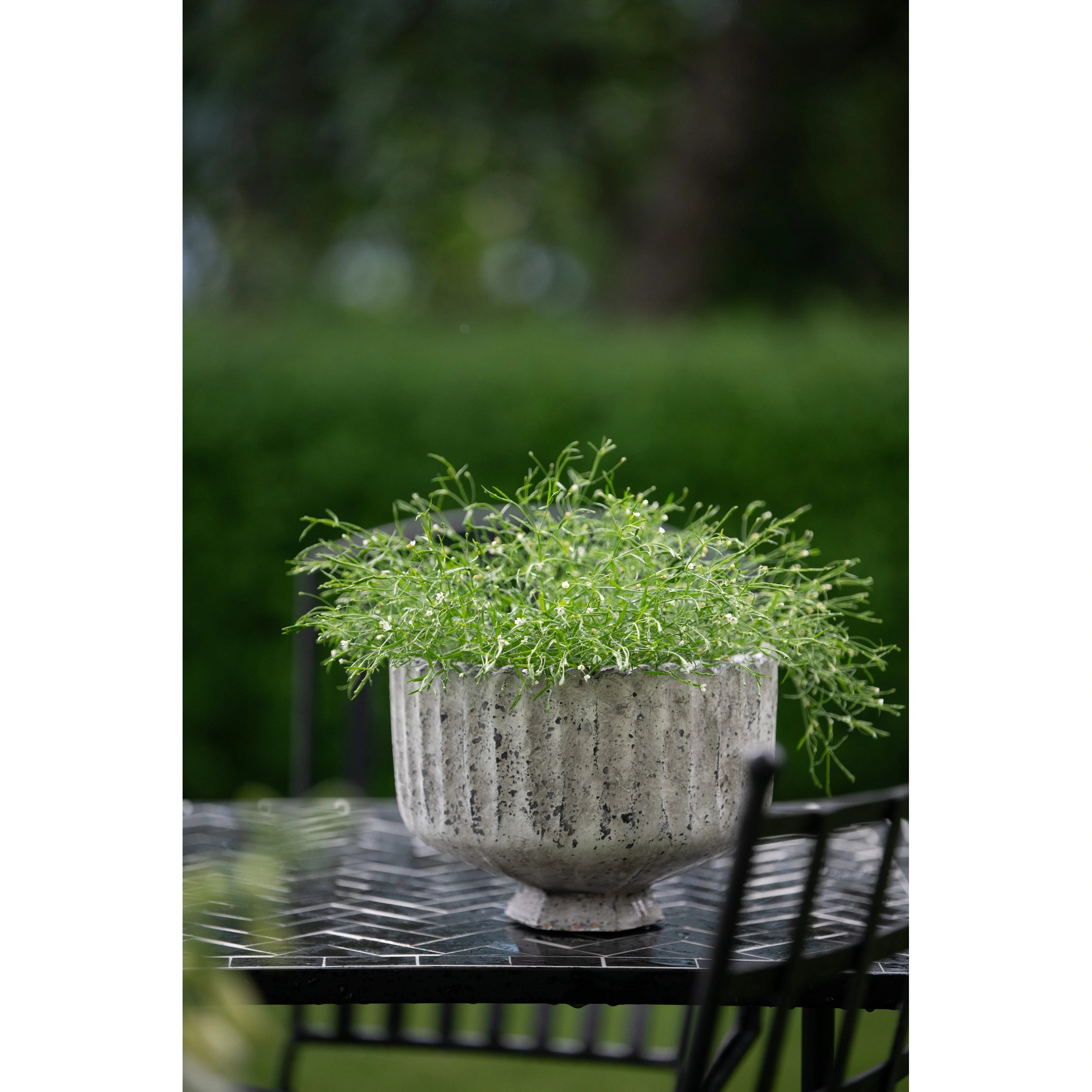 Pflanzengefäss Celeste