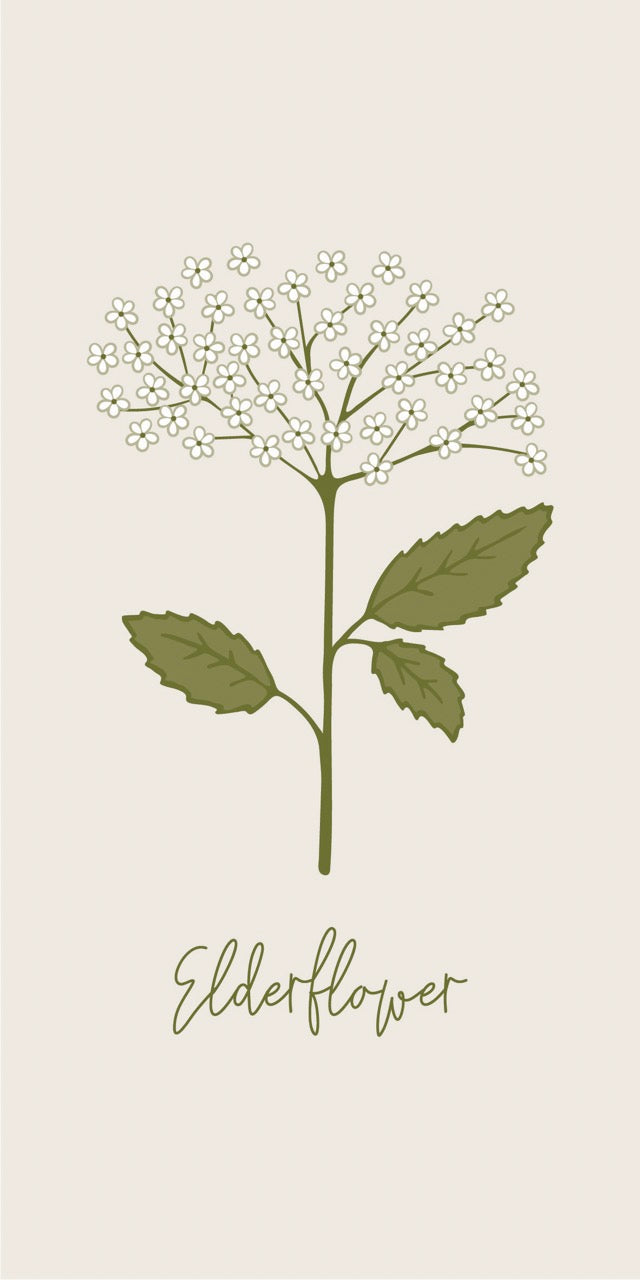 Serviette Elderflower