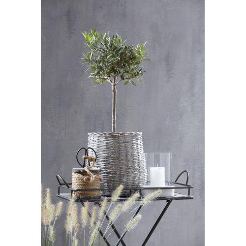 Laternen in 3 verschiedenen Grössen