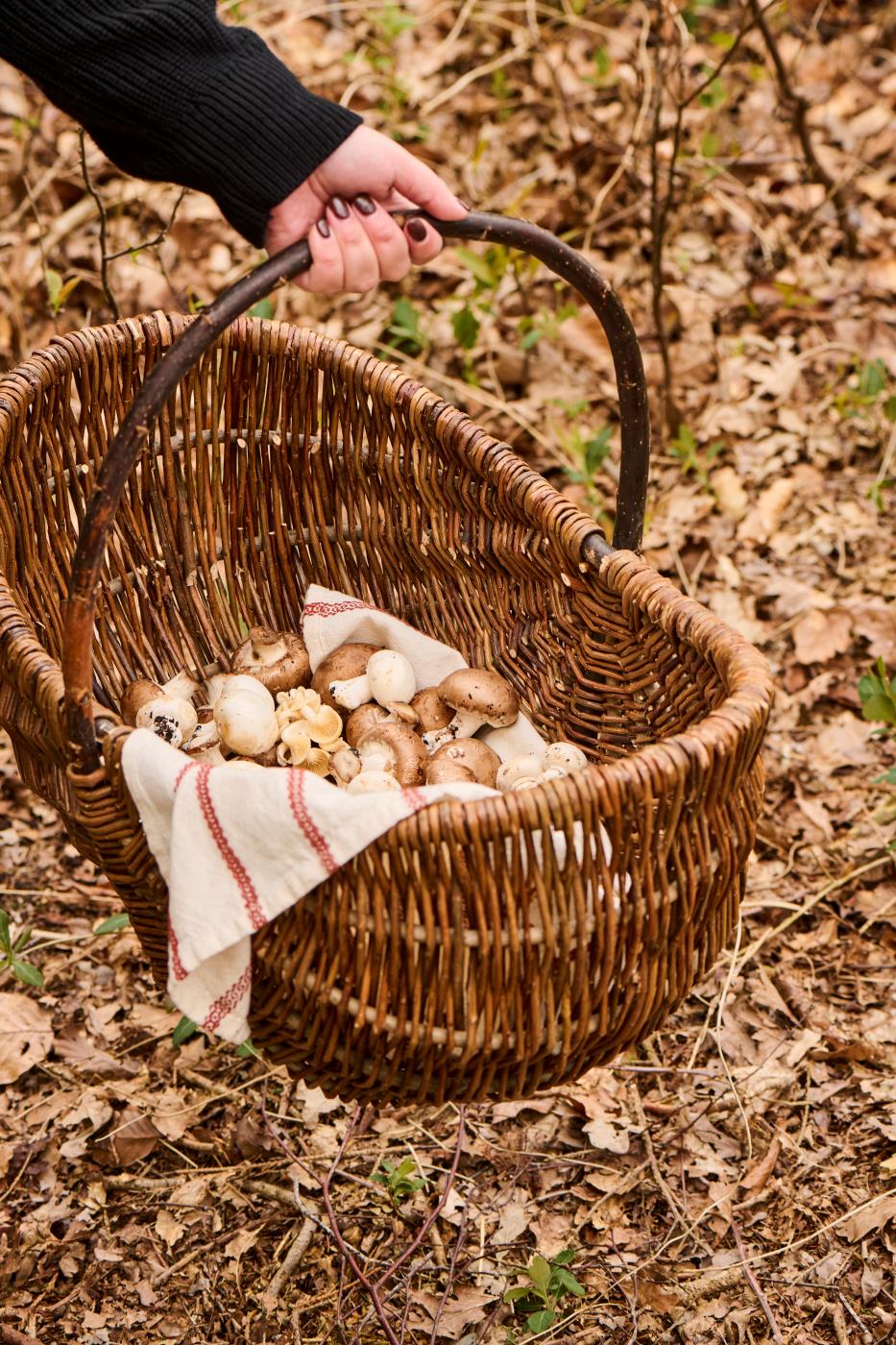 Korb oval mit Querhenkel ungeschälte Weide