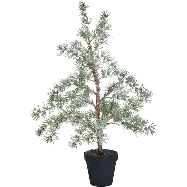 Weihnachtsbaum mit LED