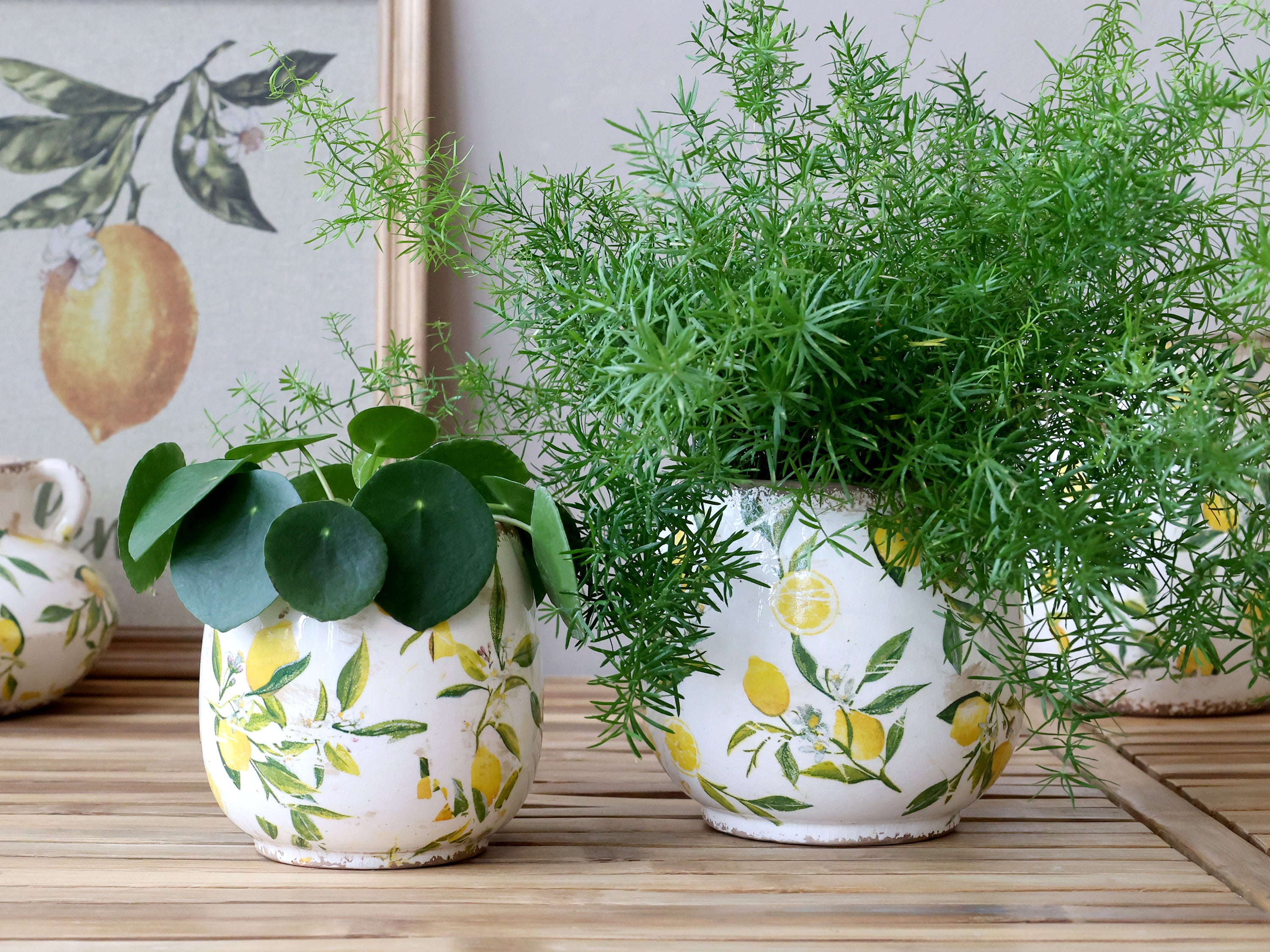 Limone Blumentopf mit Zitronenmotiv