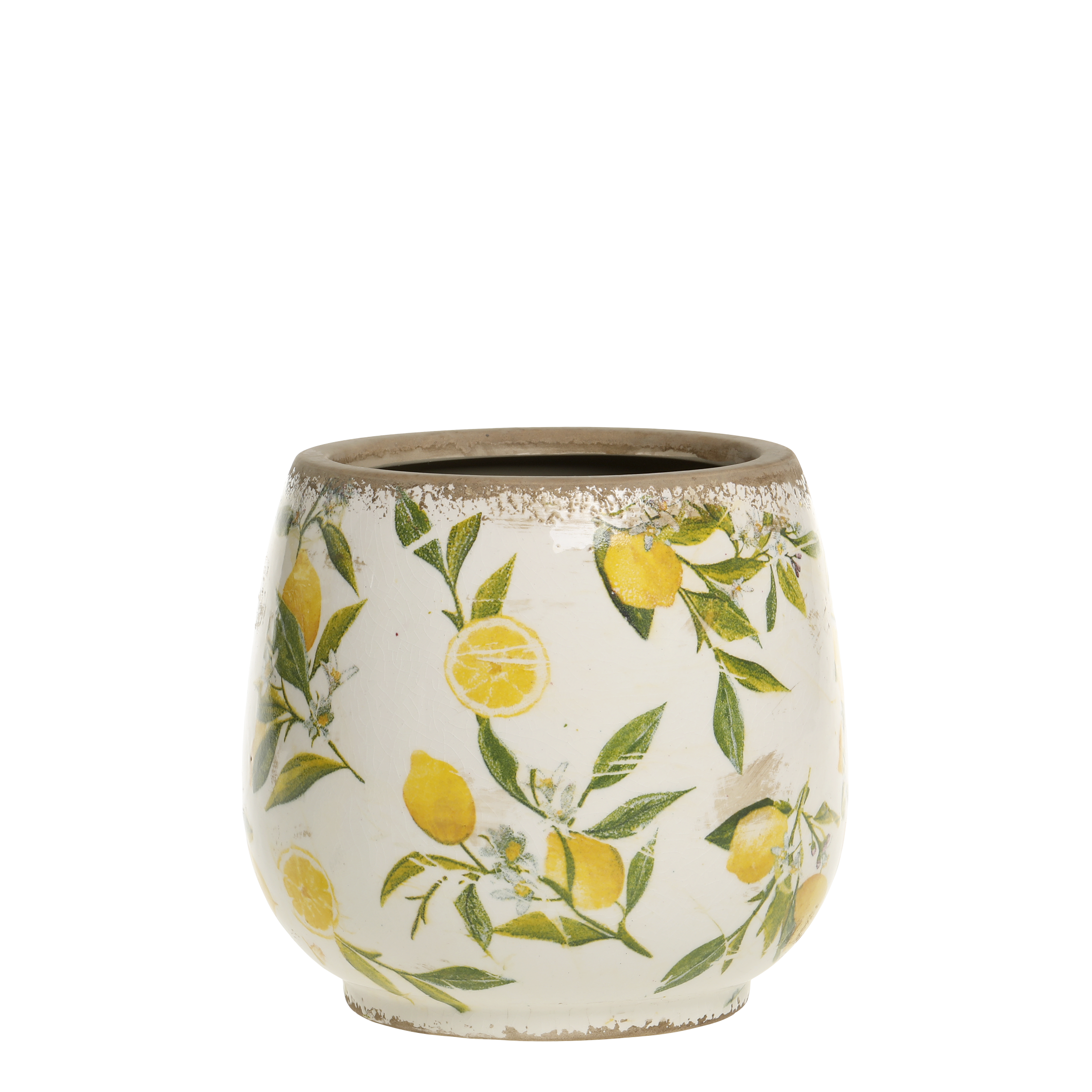 Limone Blumentopf mit Zitronenmotiv