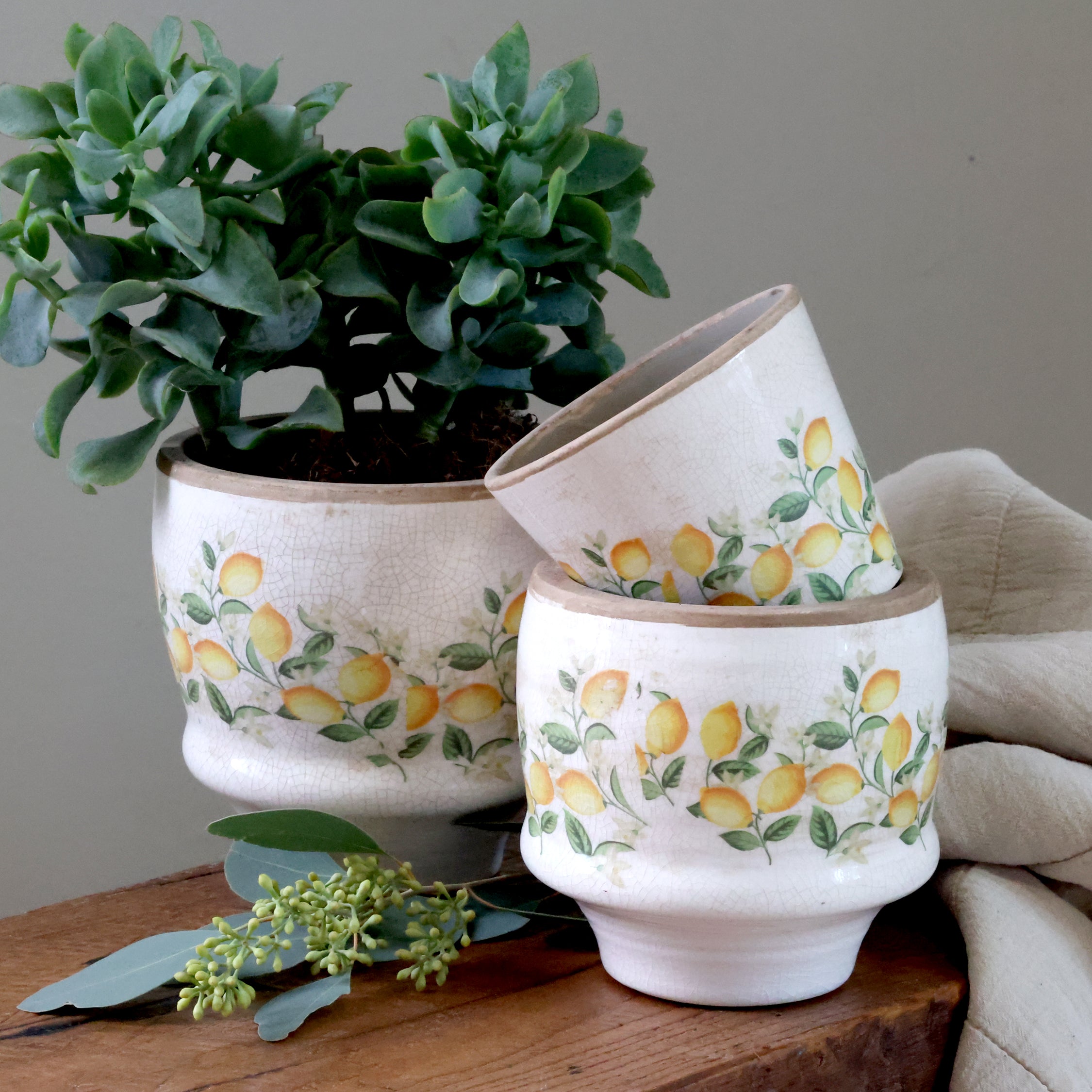 Limone Übertopf mit Zitronen und Blumen in verschiedenen Grössen